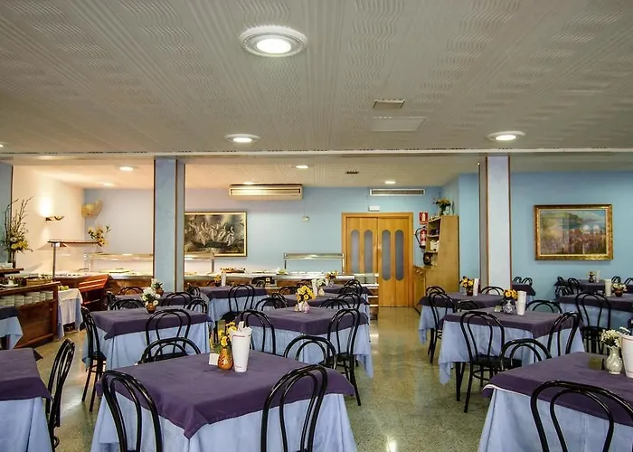 Alegria San Juan Park Otel Lloret de Mar